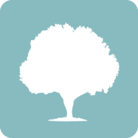 oak view restorations limited