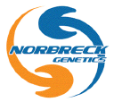 norbreck genetics limited
