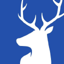 eggar forrester insurance limited