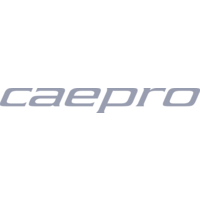 caepro limited
