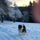 beechfield cottages limited