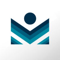 magnetize consultants ltd