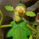 boutique editions limited