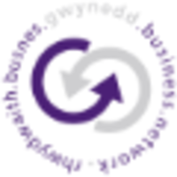gwynedd business network limited