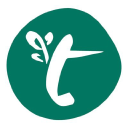 taste festivals limited