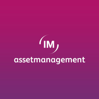 im asset management limited