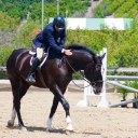 john berney & associates limited