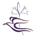 abs realisations limited