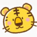 investment trust limited