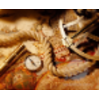 compass professional development limited