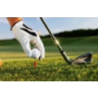 steve bull events limited