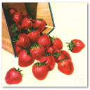 oakridge farm limited