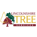 lincolnshire tree services ltd