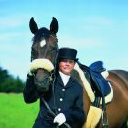 horsedream uk limited