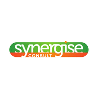 synergise consult ltd