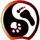 photonictherapy limited