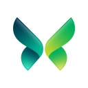 digital morphosis limited