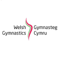 welsh gymnastics limited