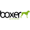 boxer consulting limited