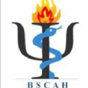 b.s.c.a.h.