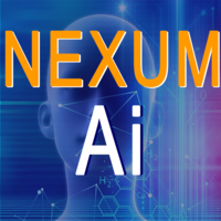 nexum software limited