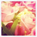 natures flow limited