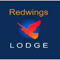 redwings lodge limited