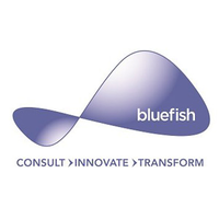 bluefish communications limited