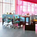 24 business environments ltd