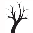 image developments limited