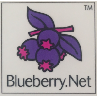 blueberry group limited