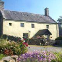 llwyndu farm limited