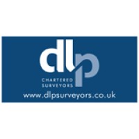 d.l.p. surveyors ltd