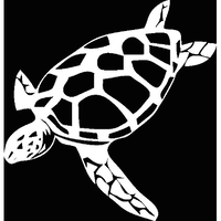 ocean turtle diving limited