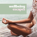 wellbeing escapes limited