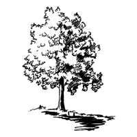 blossom house school limited