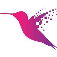 fast thinking limited