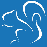 squirrel medical limited