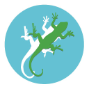 lizard landscape design limited