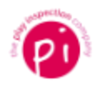the play inspection company limited