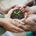 whitmore consulting limited