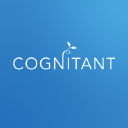 cognitant limited