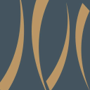 hh management limited