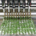 plant raisers limited