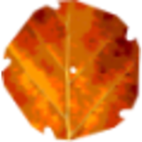 knighton countryside management limited