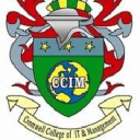 cromwell college of it & management limited