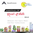 asset column limited