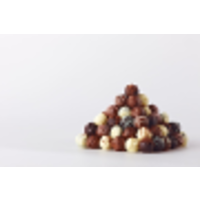 browne's chocolates limited