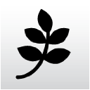 good story productions limited