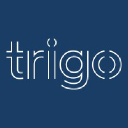 trigot limited